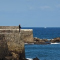 Euskadi 2015