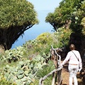 La Palma März 2015