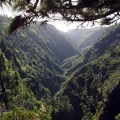 La Palma März 2015