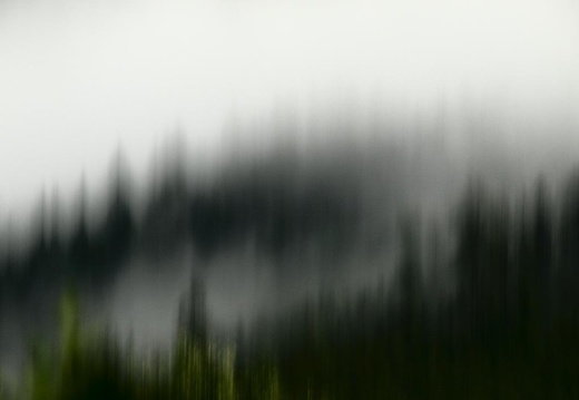 ... der Wald steht schwarz und schweiget und aus den Wiesen ...