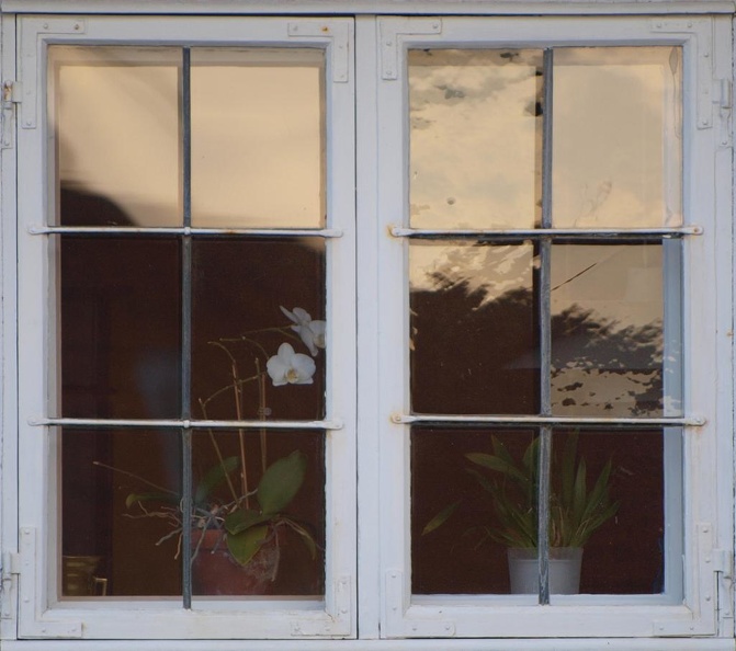 durch_das_fenster.jpg