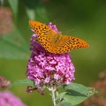 p7310579_2.jpg